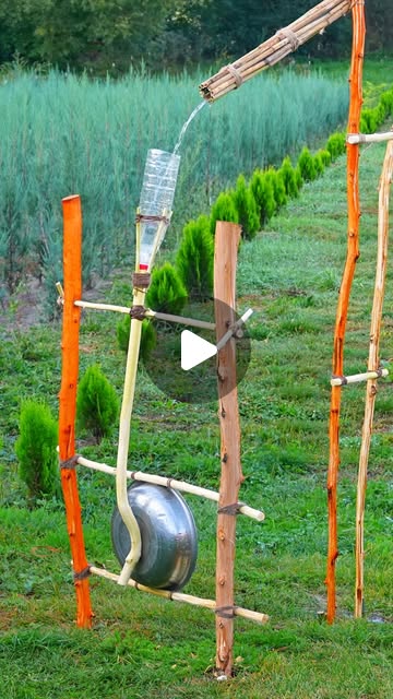 2-in-1 Garden Guard: Scare Away Birds and Moles Fast! #diy #lifehacks …