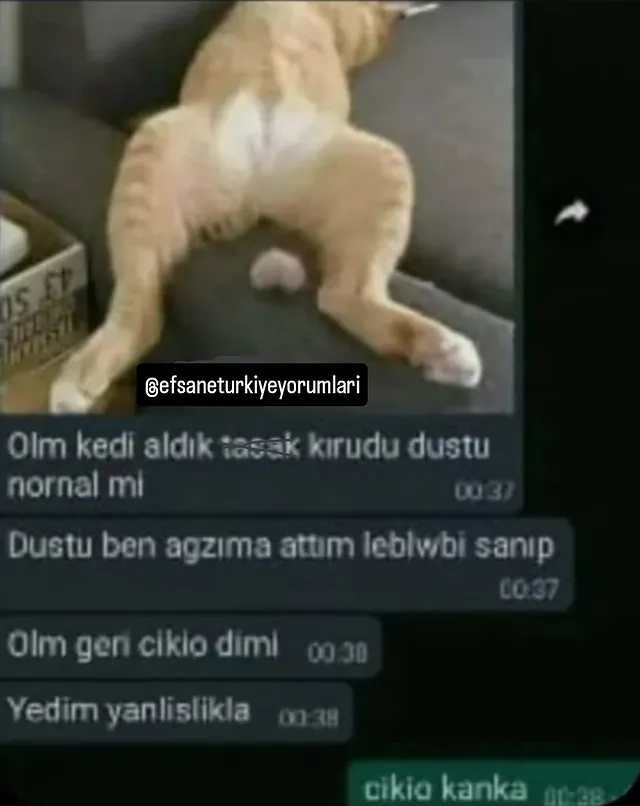 Content pinned by @efsaneturkiyeyorumlari