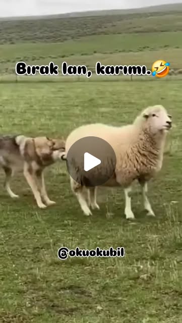 Bırak lan, karımı.🤣🤣 #viral #love #reels #follow #funny