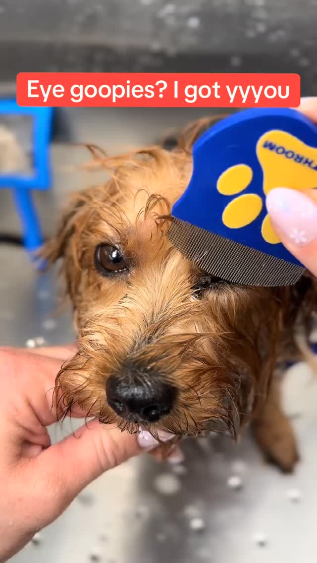 Comment LINK for product info 🐶#tiktokshopcreatorpicks #petcare #dogessentials #doggroomingtips #pet…