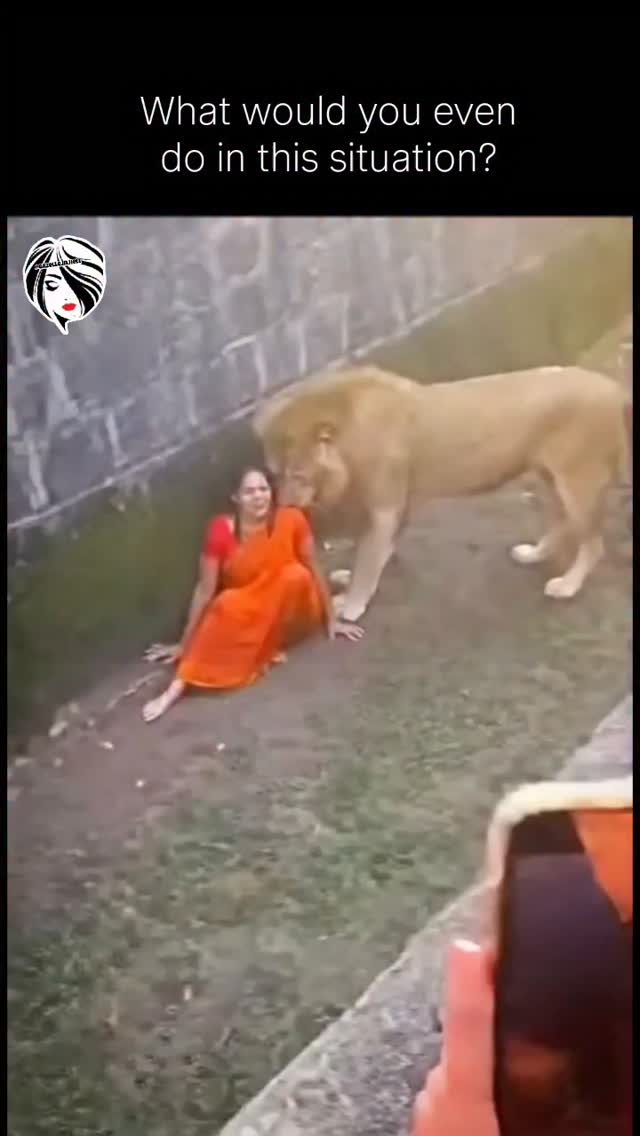 Terrifying Horror in a Zoo in India. The air turned to ice and the screams of the crowd faded into a…