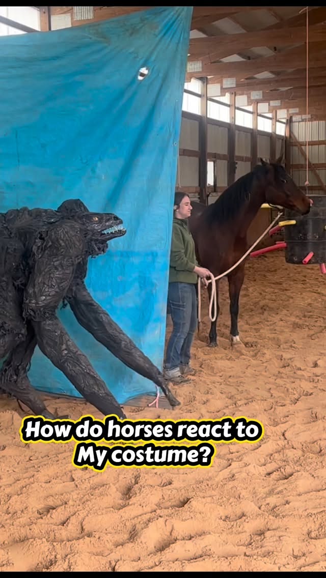 How do horses react? We found out. Full video on my YT! #Horse #horses #reaction #spiritwalker #cost…