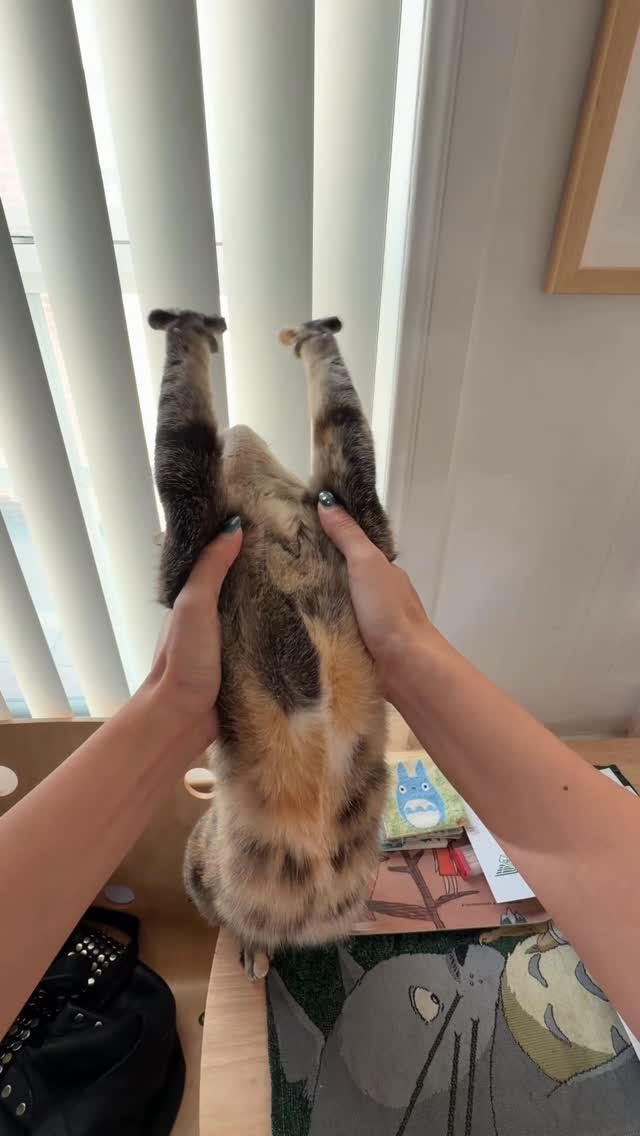 She can probably do a full back bend bridge… #yoga