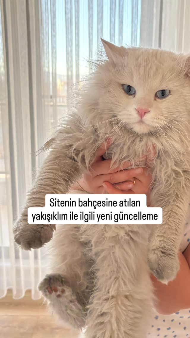 Bu yol çok uzun ama çok güzel olacak o yolun sonu çiçek bahar bahçe olacaksın biliyorum 🥰❤️yakışıklı…