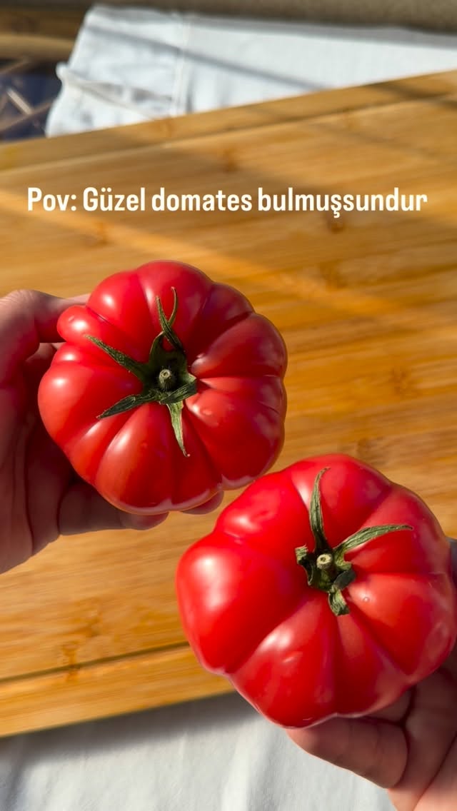 Kızarmış ekmek peynir domates bu üçlüye kim hayır diyebilirki ☺️🥖🧀🍅 #domates #yaz #ekmek #bread