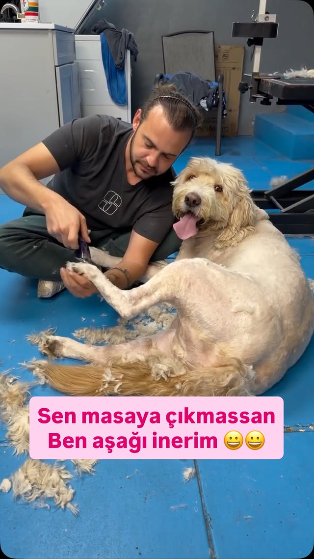 Komik hayvan günlerinde bugün 😂🇹🇷🇺🇸