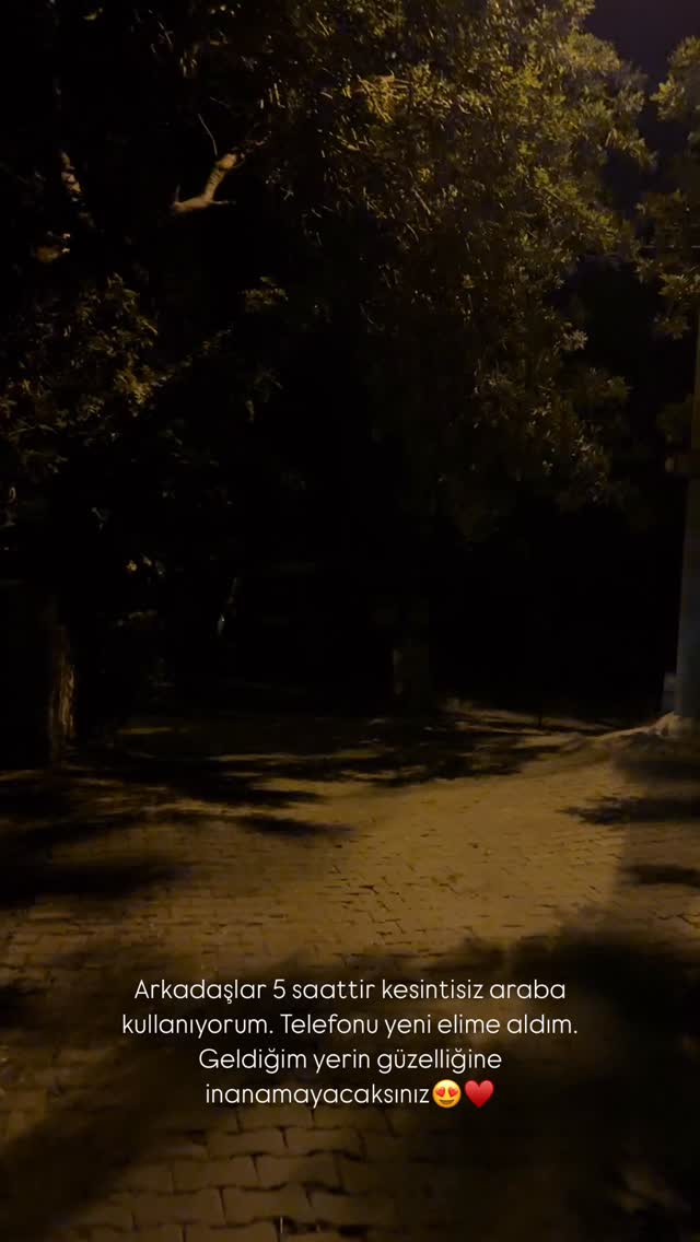 Söğüt