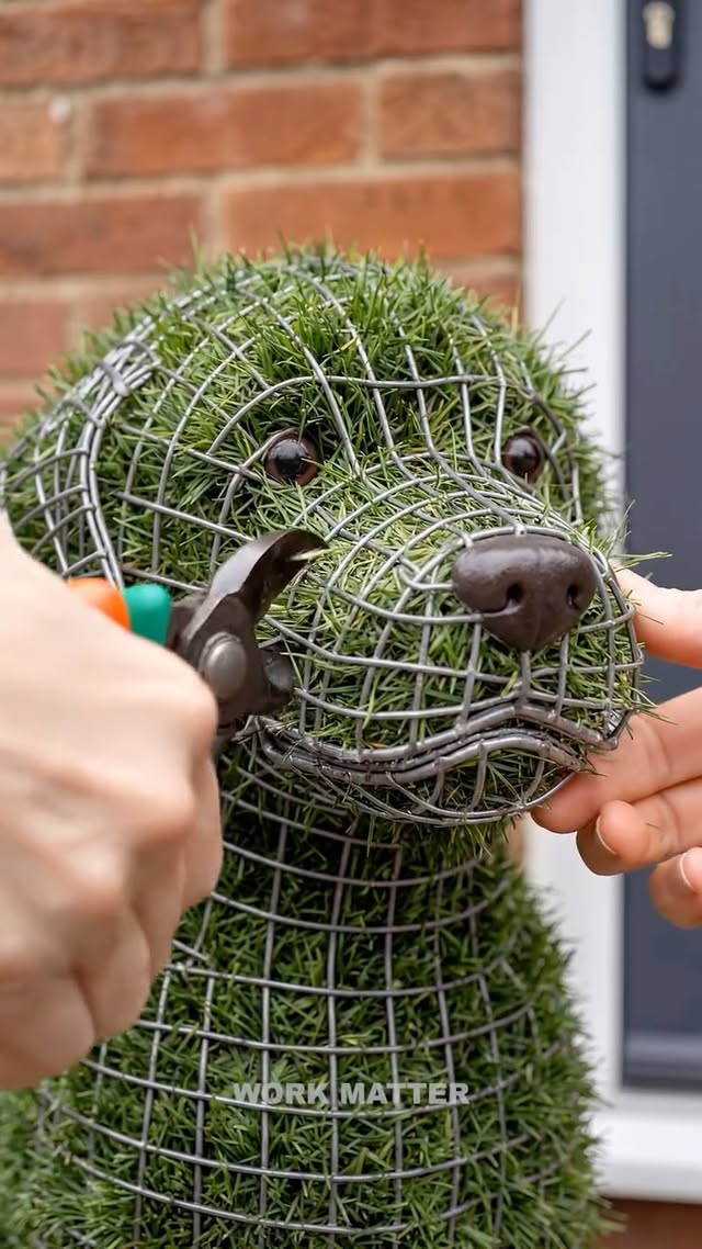 A Simple Entrance Turned Into a Glowing Garden Dog 🐕 #OutdoorDecor #gardenideas #gardening #backyard…