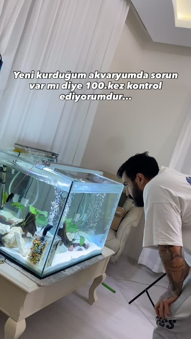 Var mı benim gibi takıntılı olan 😅 . . . . #balık #hobi #akvaryum #keşfet
