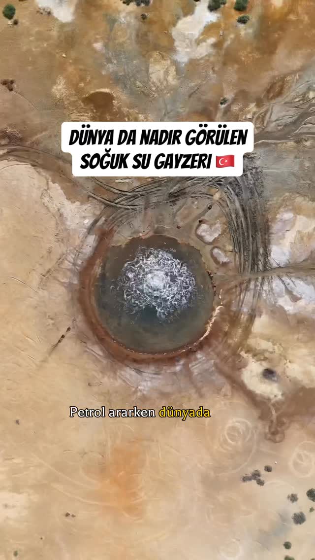 Nature pin