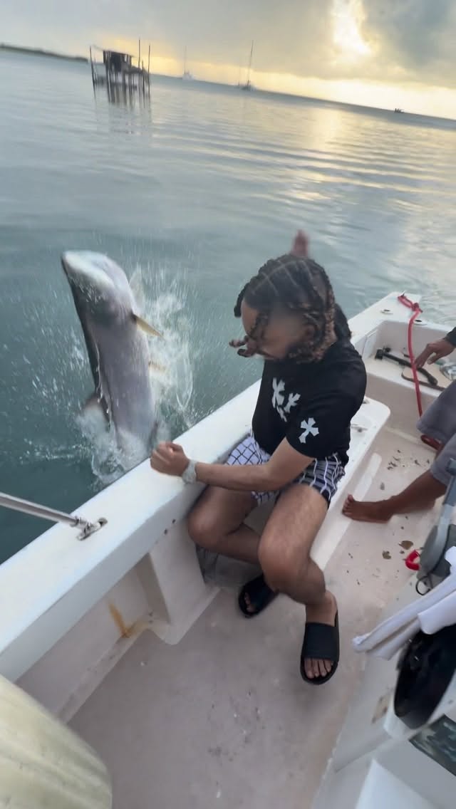 my heart jumped right out my body😂😂😂😂😂😂😂😂 • • • • • • • #travel #explore #foryou #belize #fyp