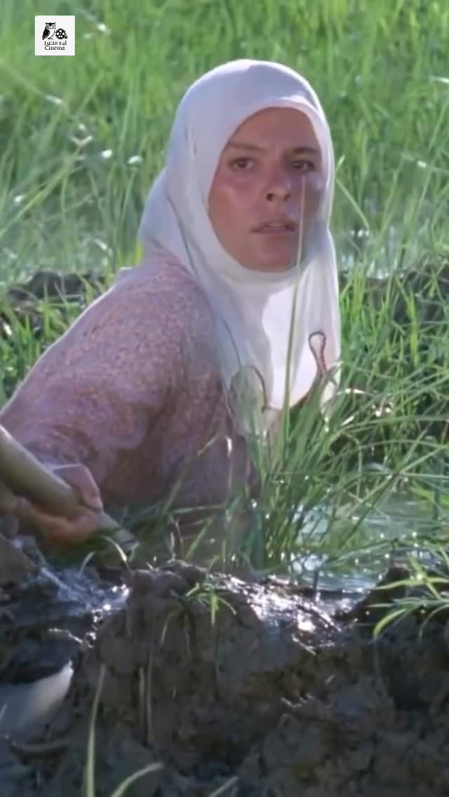 🎬Kurbağalar, Şerif Gören imzasını taşıyan, Türk sinemasında toplumsal gerçekçi yaklaşımın önemli örn…