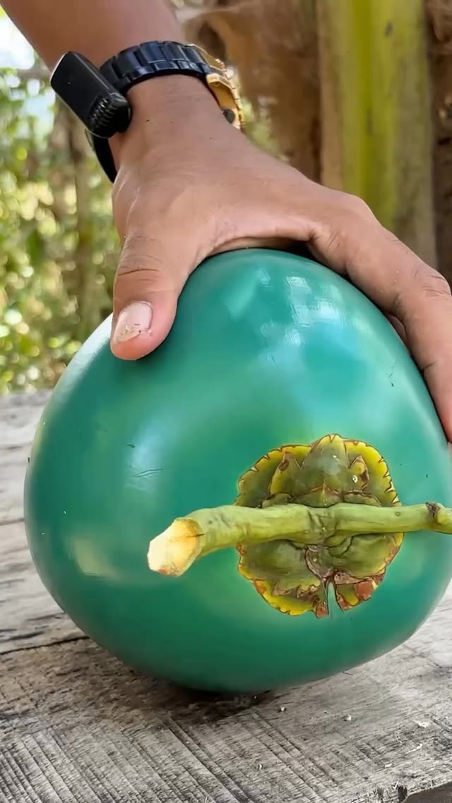 Don’t Skip! Thai Coconut Peeling Process #coconut #cuttingskills #asmr