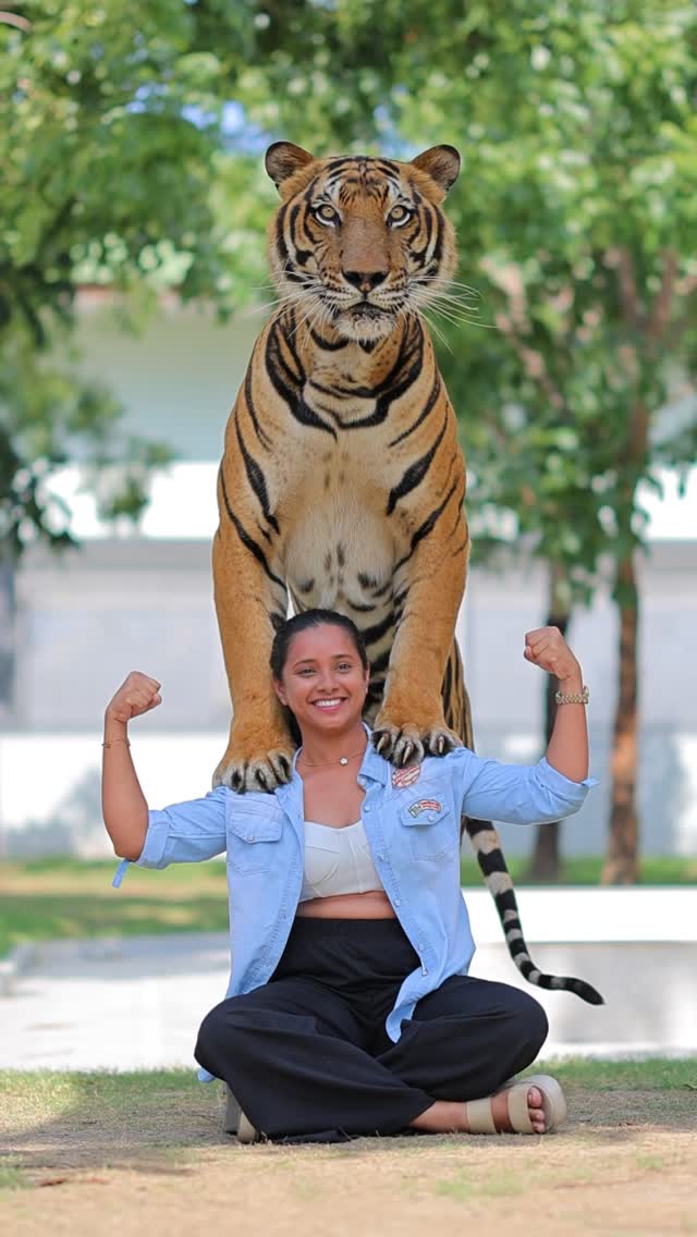 BTS: trying to act normal beside a tiger 😅 #fypppppppppppppppppppppppppppppppppppppppppppppppppppppp…