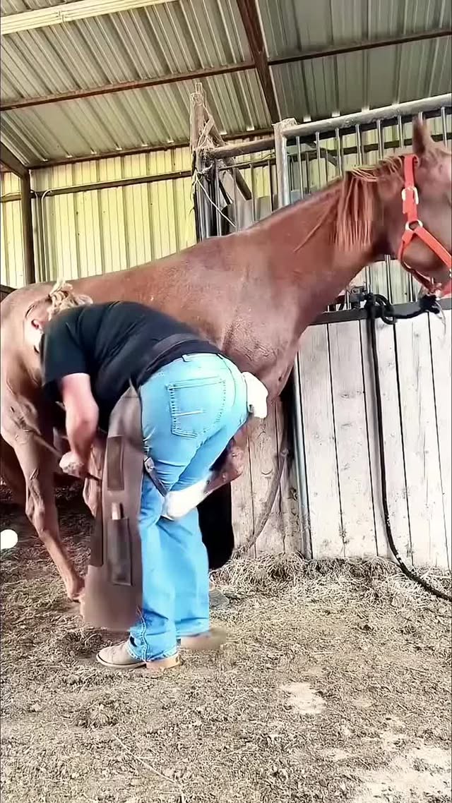 🚀🐴 #farrier #farriersofinstagram #horse #asmr #SatisfyingEdit