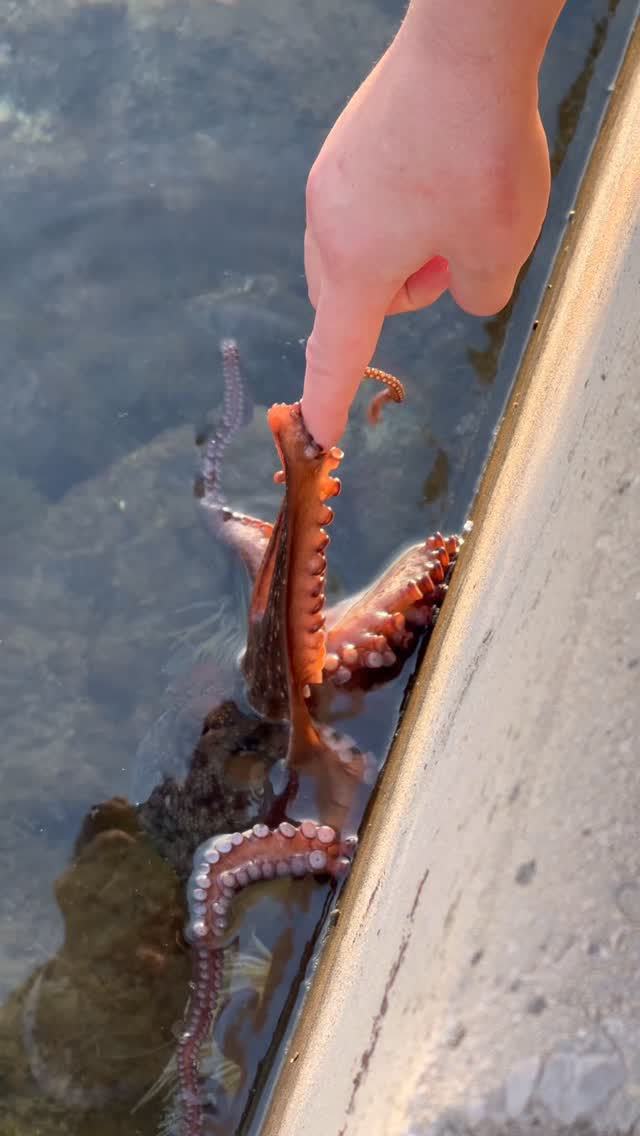 I’ve always said I could fish with anything, hopefully for him I was not hungry at this time.. #octo…