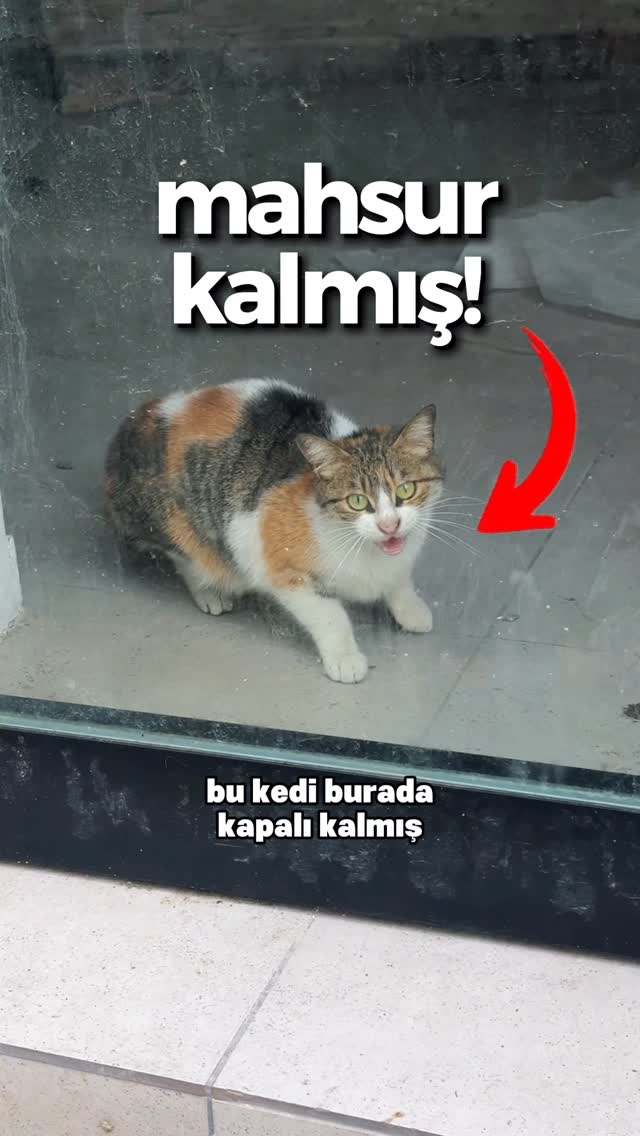 Evet bu da böyle bir anımdır 🤗 Başta işimi biraz zorlaştırdım ama nihayetinde mutlu sona ulaşabildik…