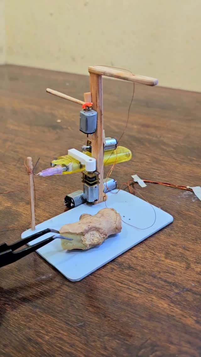 New ginger trap with dc motor and sticks #engineering #electronics #funny #trap #dcmotor