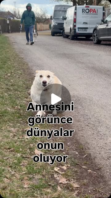 Evden bensiz çıktılar ama dönüşte onları kapıda karşılamak istedim şu mutlulukları her şeye değiyor …