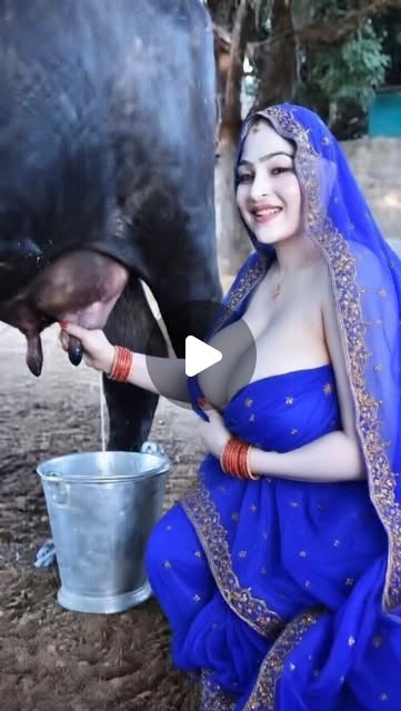 Farm Fresh Milk Collection 🐄🥛 | Dairy Life #Shorts #DairyFarm #FreshMilk #CowMilk #FarmLife VillageF…