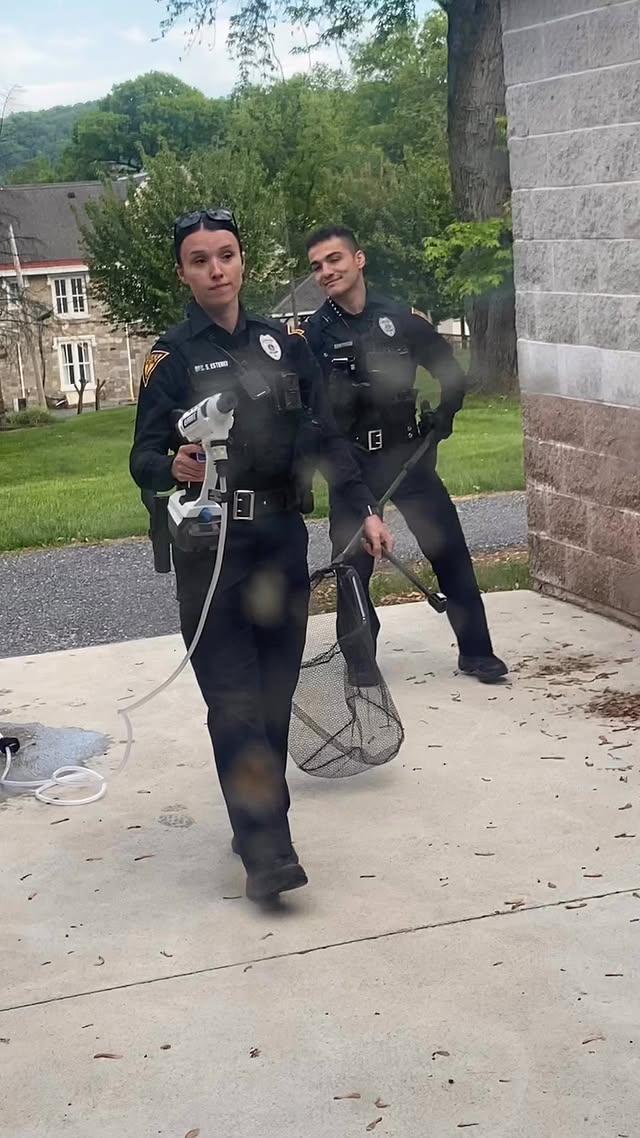 Gotta say GIRL POWER!!! and great team work by the chief of police together they were able to deal w…