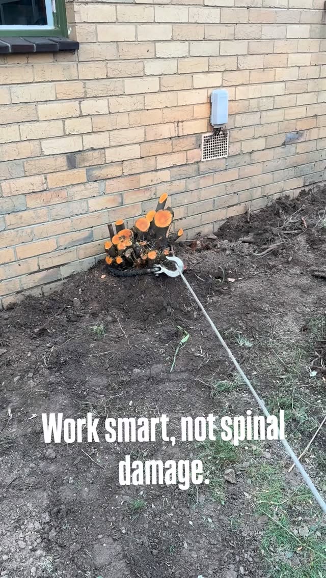 Root removal made easy ⚔️🌳 Using EZARC reciprocating saw blades to slice through stubborn roots befo…