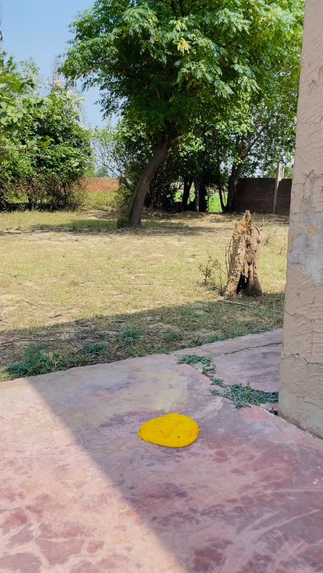 Wait for end funny 😄 moments #mkamran11 #viral #reels