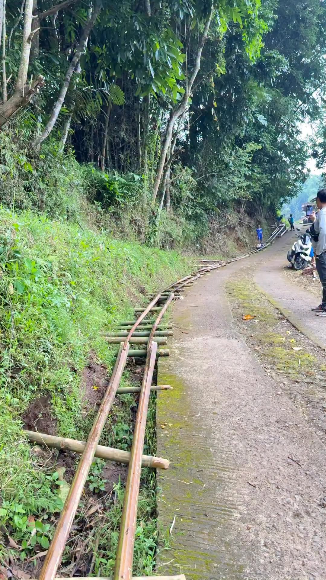 rollercoaster in the forest with suhu lori #LORI #rollercoaster #danangzedpriyatmoko