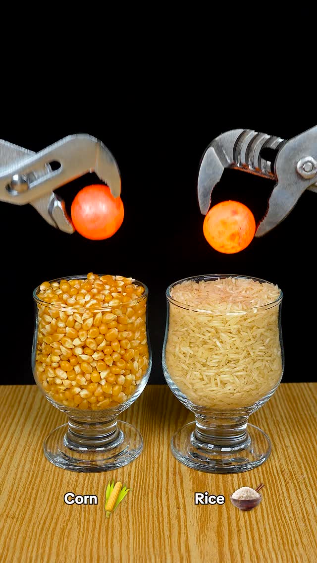 1000°C vs Corn 🌽 + Rice 🌾 😱#experiment #science #asmr