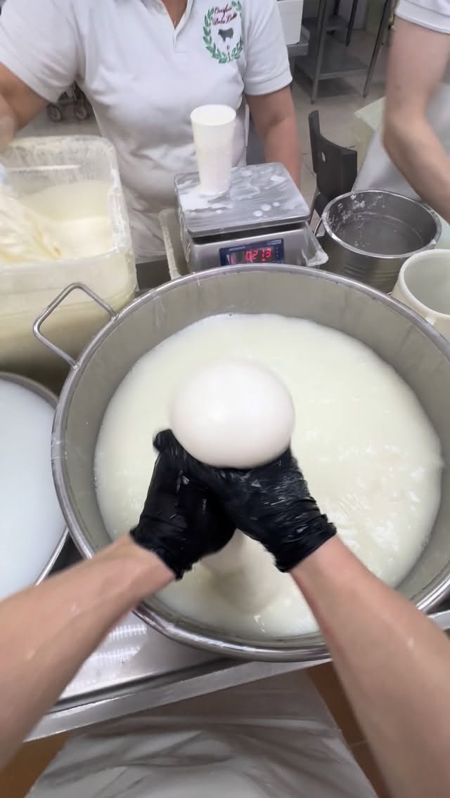 Burrata cheese 🫠😋
