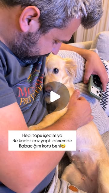 Küçük Emrahlık deyince de sen Güneş 😅😬 . . . #kokoni #köpekvideoları #satınalmasahiplen #kokonidogs …