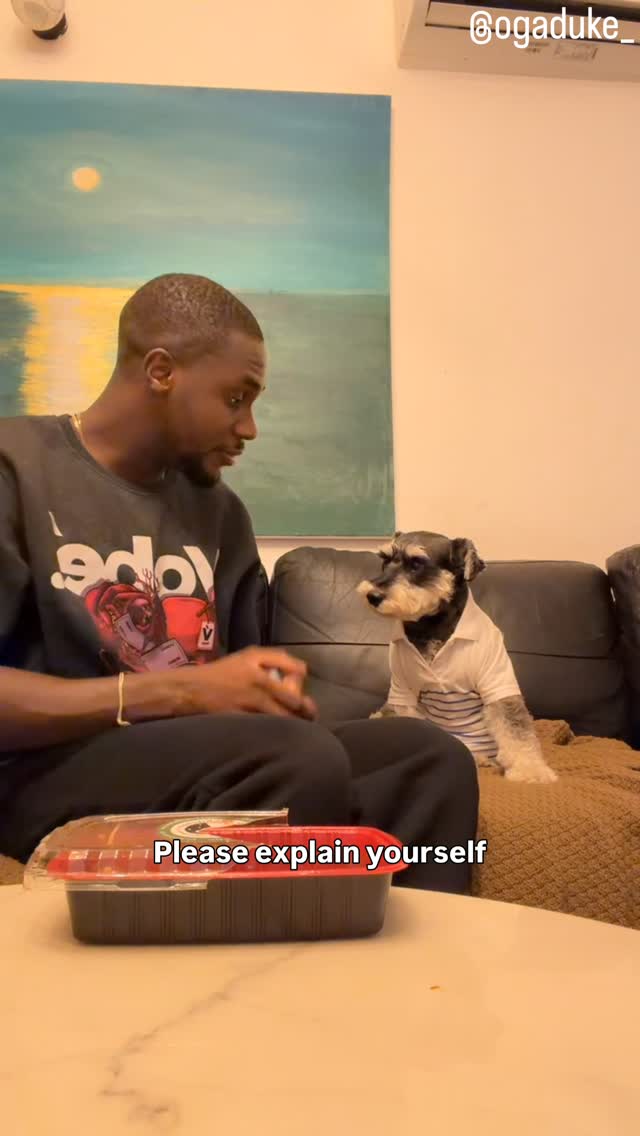 Fatherhood is not for the weak 🤣😍🐾 Please follow our back up page: @ogaduke_backup #dogdad #dogsofin…