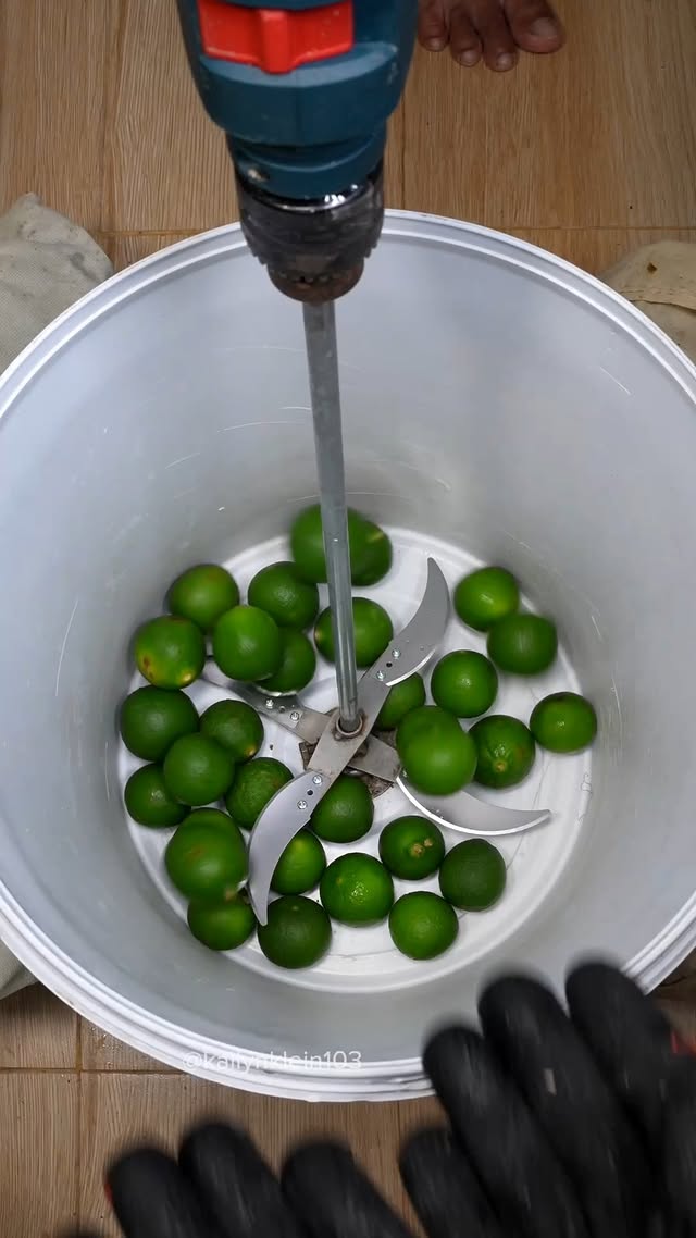 Chopper vs limes #satisfying #asmr #tool