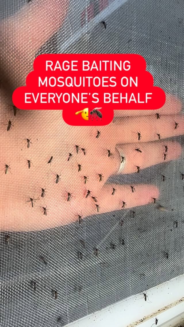 OK OK this time I’m doing one for all of you! You are welcome 🤟🏻 #mosquitoee #ragebait #mosquitohate…
