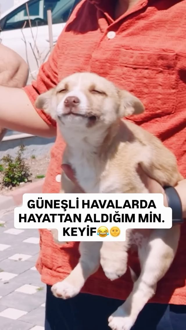 Yaz aylarının kışa kıyasla daha fazla mutluluk hissi yaratmasının temelinde biyolojik ve çevresel fa…