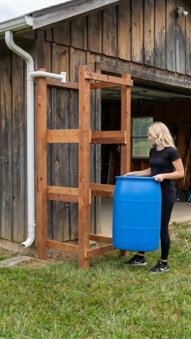 I Turned Rain into Free Water with This DIY Barrel System