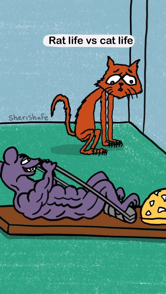 Rat life vs cat life!😂 #animation #reel #funny #humor #animationart
