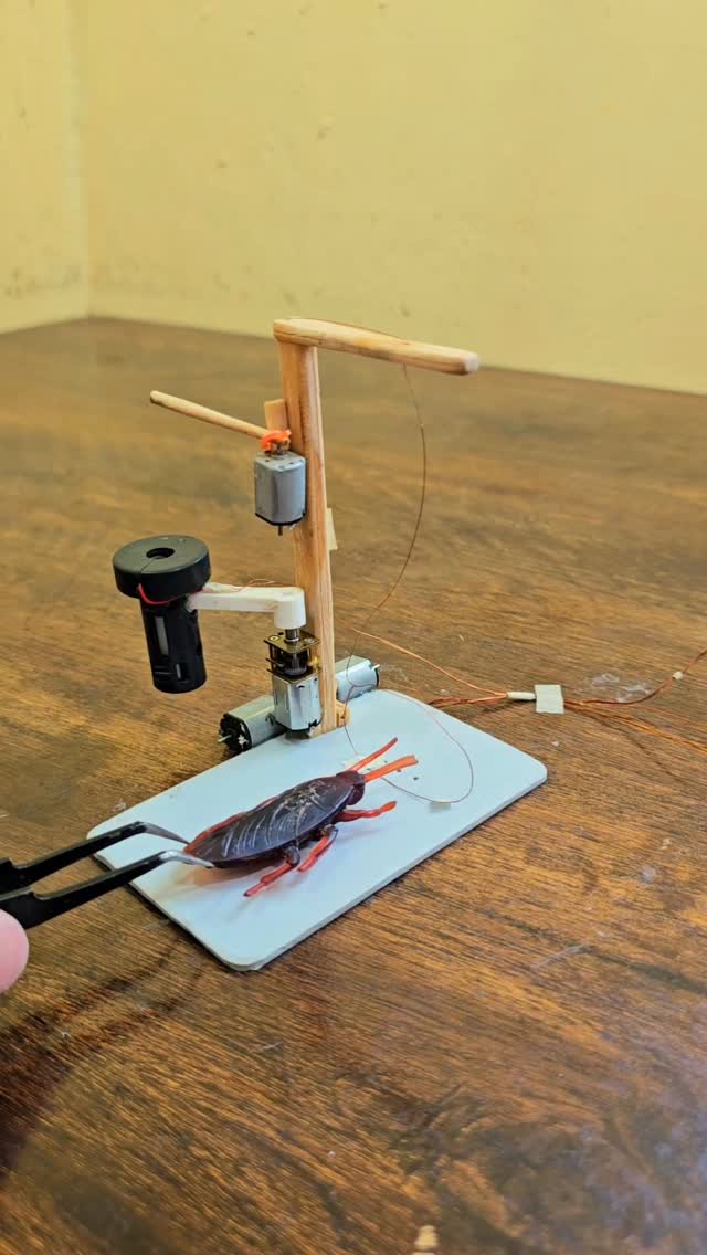 New Cockroach trap with dc motor stick & Chemical X #engineering #trap #cockroach #funnyreels