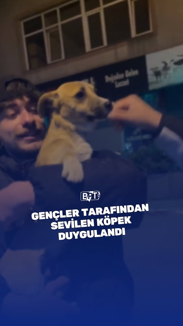 Sokakta gençler tarafından sevilen bir köpeğin mutluluktan gözleri doldu. — Videoyu çeken gençler kö…