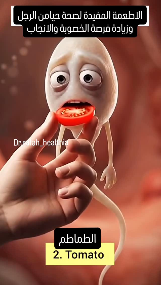 الاطعمة المفيدة لصحة حيامن الرجل وزيادة فرصة الانجاب والخصوبة تيتانيك واحد من أشهر أفلام العالم، صدر…