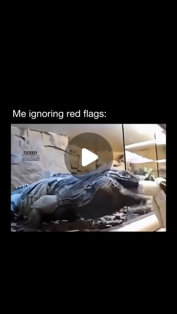😭😂 A red flag is a warning sign that something might be wrong or risky in a situation, especially wh…