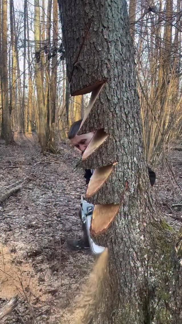 Content pinned by @lisoryb24