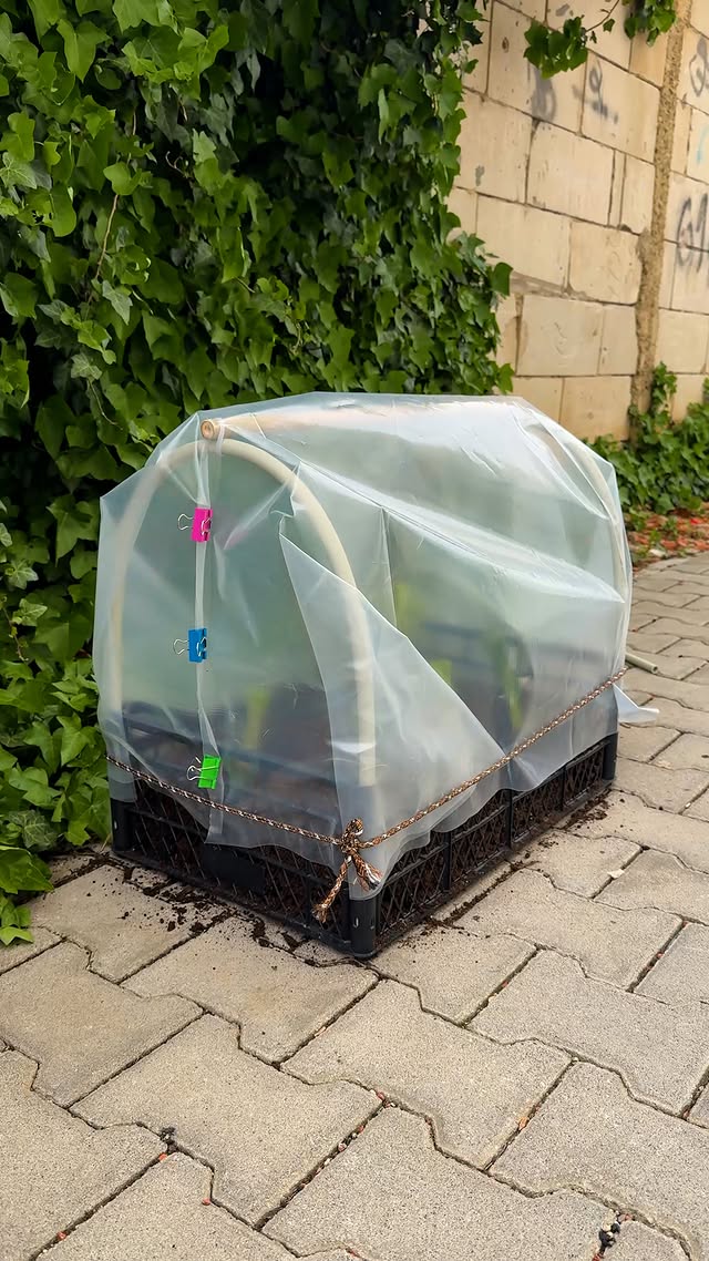 DIY Mini Greenhouse Using Crates 🌱 #diy #greenhouse #trick