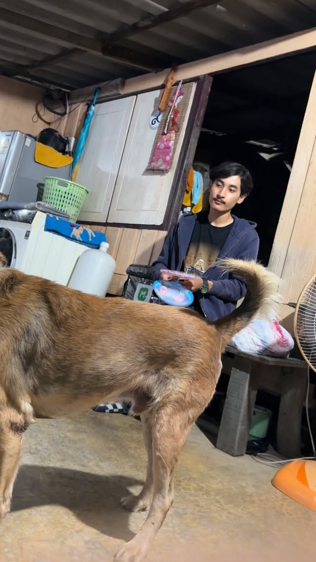 การ์ดอย่าได้ป่ะ555555555