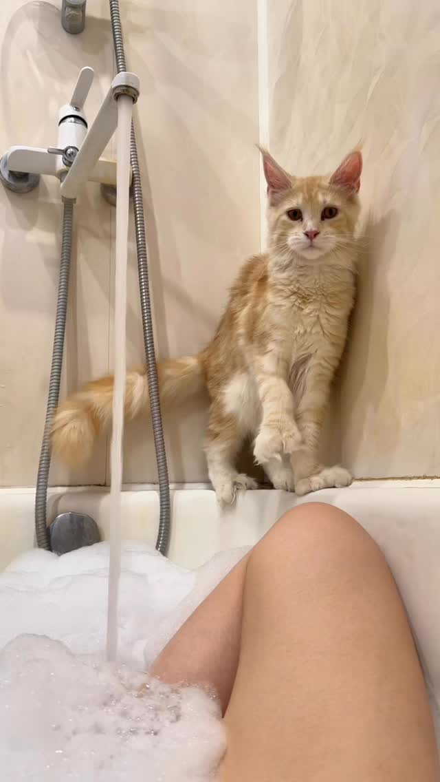 Content pinned by @stepanova.cat