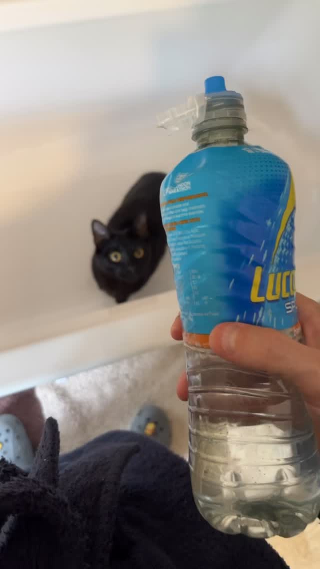Yeah my cats broken 🤦‍♂️ #fyp #reels #funny #funnycat #blackcat