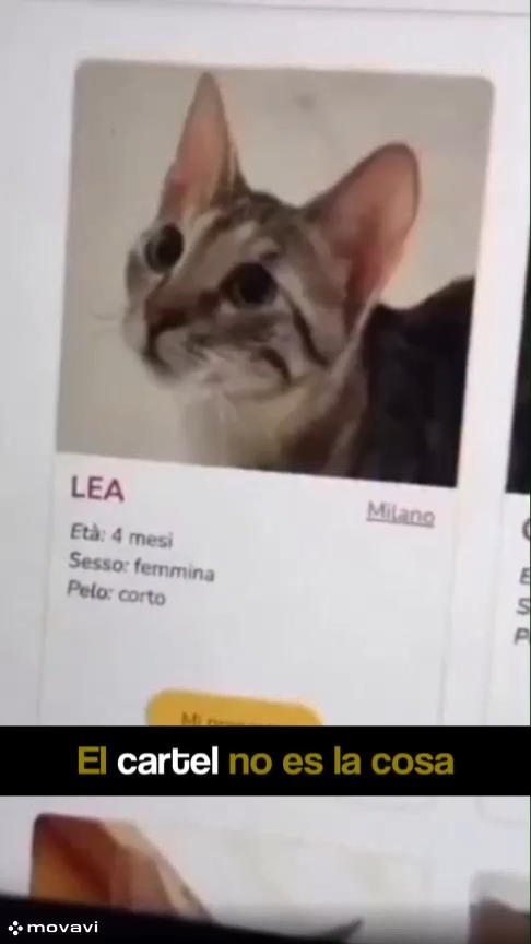 Llamás a tu mascota y viene. No reconoce su identidad, reconoce un estímulo. Para él, ese sonido es …