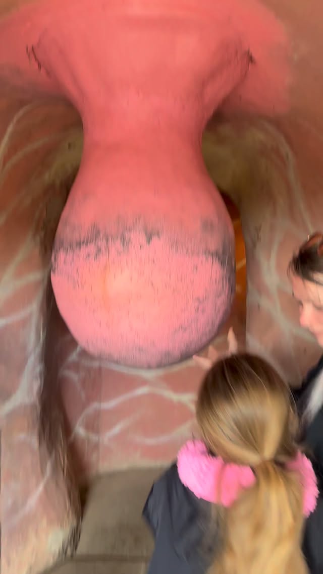 The strangest looking dangly thing for wor Gibson to tickle today 🤣. A lovely few hours in the stran…