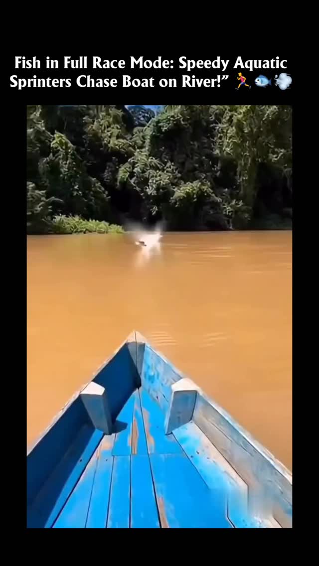 Follow for daily content:- @thedailydose__in - The X post features a short video from a boat on a mu…