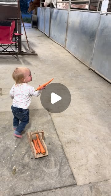 At the end Quincee noticing the baby horse on the stall 🥹 #barnlife #HorseLife #blessed